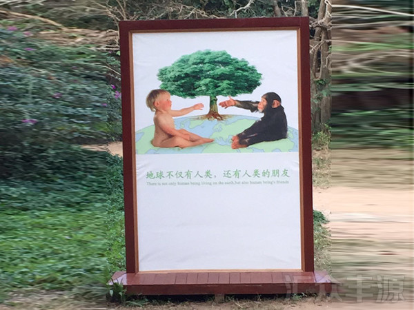 beautiful-thumbnail-hover-effect-01