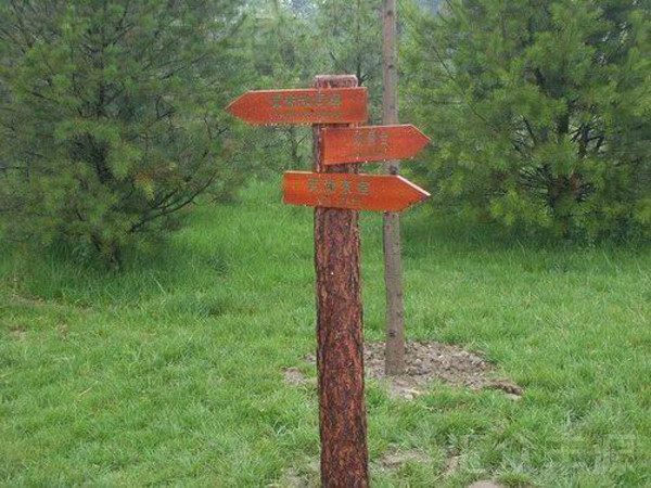 beautiful-thumbnail-hover-effect-01