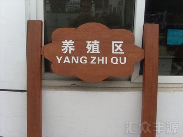 beautiful-thumbnail-hover-effect-01