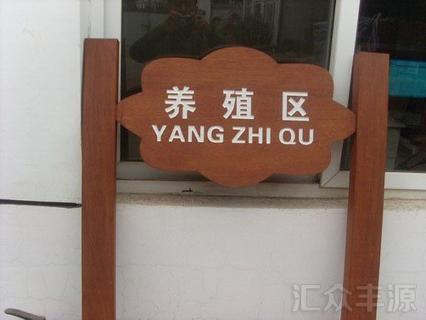 beautiful-thumbnail-hover-effect-01